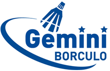 Volleybalvereniging Gemini Borculo