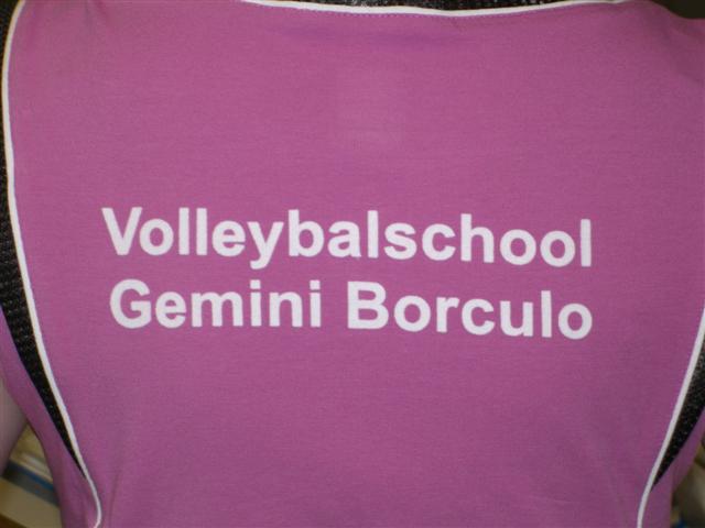 Volleybalschool Gemini